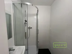 Pronájem bytu 2+1, Litvínov, Ruská, 53 m2