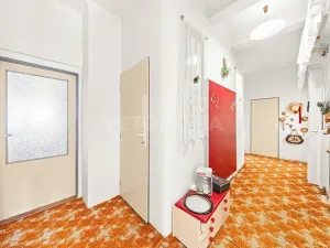Prodej rodinného domu, Plzeň, U Bachmače, 210 m2