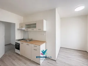 Pronájem bytu 2+1, Krupka, Karla Čapka, 62 m2