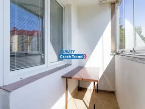 Pronájem bytu 1+1, Olomouc, Foerstrova, 43 m2