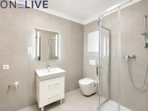 Pronájem bytu 1+kk, Zbůch, 32 m2