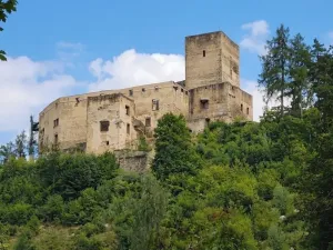 Prodej chalupy, Staré Město pod Landštejnem, 107 m2