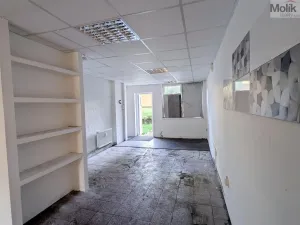 Prodej obchodního prostoru, Most, Šeříková, 39 m2