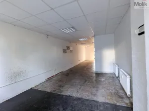 Prodej obchodního prostoru, Most, Šeříková, 39 m2