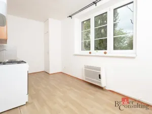 Pronájem bytu 1+1, Ostrava - Přívoz, Newtonova, 42 m2