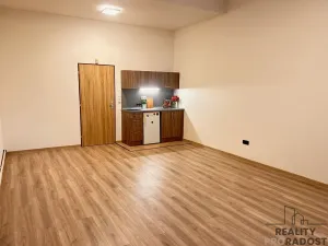Pronájem bytu 1+kk, Olomouc - Hodolany, Březinova, 46 m2