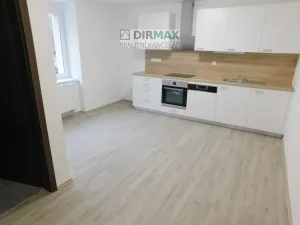 Pronájem bytu 1+1, Plzeň - Severní Předměstí, Dělnická, 42 m2