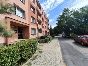 Pronájem bytu 1+kk, Chlumec, Zákoutí, 19 m2