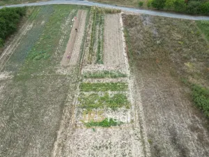 Prodej zahrady, Hustopeče, 3741 m2