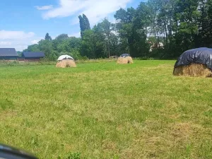 Prodej pozemku pro bydlení, Vyškov - Opatovice, 670 m2