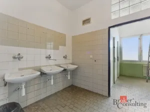 Pronájem výrobních prostor, Hradec Králové - Slezské Předměstí, Výrobní, 1059 m2