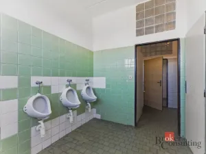 Pronájem výrobních prostor, Hradec Králové - Slezské Předměstí, Výrobní, 1059 m2