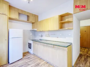 Pronájem bytu 1+1, Plasy, Potoční, 42 m2
