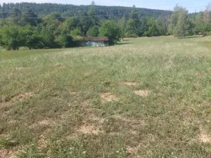 Prodej zahrady, Stražisko, 3140 m2
