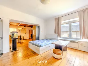 Prodej bytu 1+1, Drahanovice, 56 m2