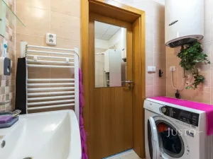 Prodej bytu 1+kk, Šakvice, Hlavní, 31 m2