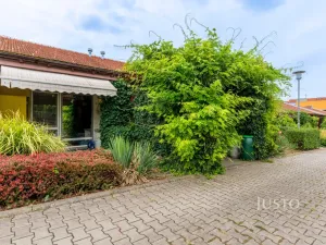 Prodej bytu 1+kk, Šakvice, Hlavní, 31 m2