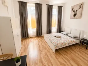 Pronájem ubytování, Praha, Seifertova, 342 m2