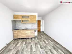 Prodej bytu 1+1, Klášterec nad Ohří, Družstevní, 35 m2