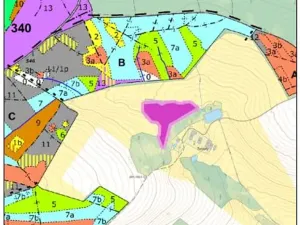 Prodej podílu lesa, Lidmaň, 9702 m2