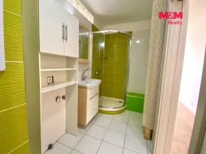 Pronájem bytu 2+kk, Děčín - Děčín II-Nové Město, Škroupova, 48 m2