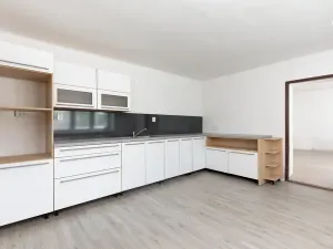 Prodej rodinného domu, Ryžoviště, Tyršova, 200 m2