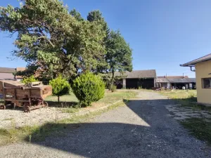 Prodej výrobních prostor, Branišovice, 8554 m2