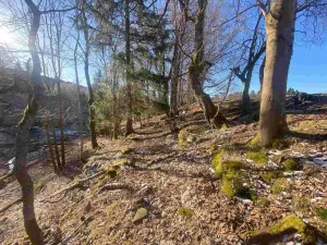 Prodej pole, Železná Ruda - Špičák, 1644 m2