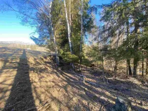 Prodej pole, Železná Ruda - Špičák, 1644 m2