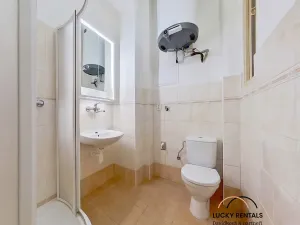 Pronájem bytu 1+kk, Praha - Strašnice, Na hroudě, 27 m2