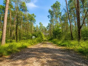 Prodej pozemku pro bydlení, Hradištko, Kersko, 4428 m2