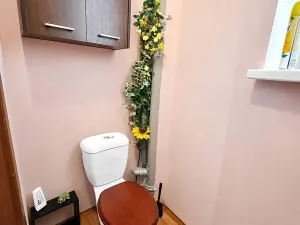 Pronájem bytu 2+kk, Plzeň, Čechova, 48 m2