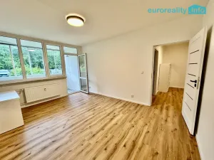 Pronájem bytu 2+1, Karlovy Vary, Lidická, 58 m2