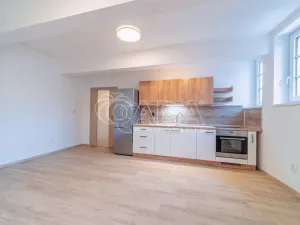 Pronájem bytu 2+kk, Dřevohryzy, 53 m2