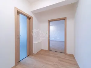 Pronájem bytu 2+kk, Dřevohryzy, 53 m2