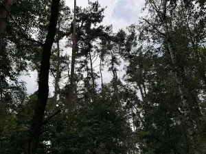 Prodej podílu pozemku, Kojice, 604 m2
