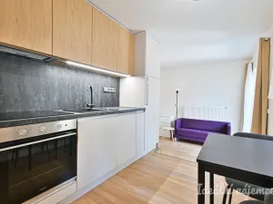 Pronájem bytu 1+kk, Brno, Netušilova, 32 m2