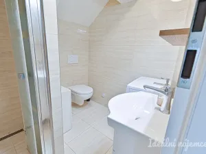 Pronájem bytu 1+kk, Brno, Netušilova, 32 m2