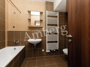 Prodej bytu 2+kk, Praha - Žižkov, Na Vackově, 53 m2