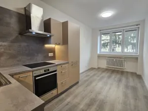 Pronájem bytu 2+1, Praha - Podolí, Podolská, 75 m2