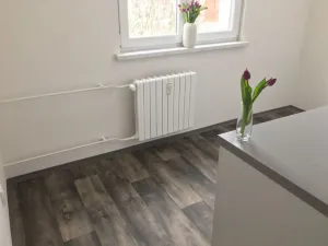 Pronájem bytu 2+1, Ostrava - Hrabůvka, Závodní, 52 m2