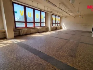 Pronájem obchodního prostoru, Orlová - Lutyně, F. S. Tůmy, 554 m2