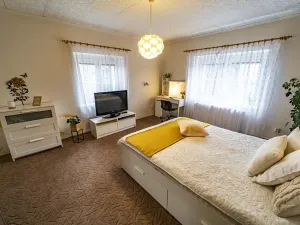 Prodej vícegeneračního domu, Březno, 180 m2