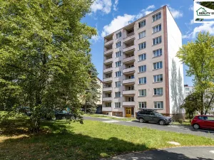Prodej bytu 1+1, Cheb, Matěje Kopeckého, 36 m2