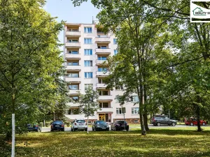 Prodej bytu 1+1, Cheb, Matěje Kopeckého, 36 m2