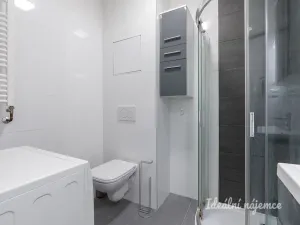 Pronájem bytu 1+kk, Praha - Libeň, Chlumčanského, 40 m2