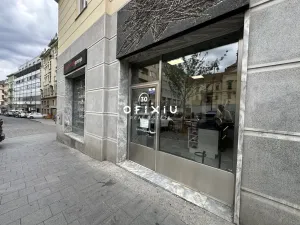 Pronájem obchodního prostoru, Brno, Dominikánské náměstí, 109 m2