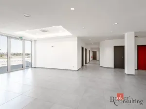 Pronájem výrobních prostor, Uherský Brod, Nivnická, 2850 m2
