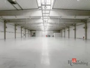 Pronájem výrobních prostor, Uherský Brod, Nivnická, 2850 m2