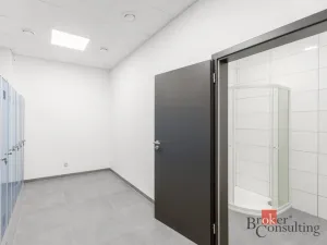 Pronájem výrobních prostor, Uherský Brod, Nivnická, 2850 m2